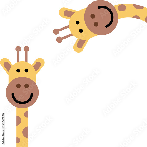 Vector jirafas sobre fondo blanco