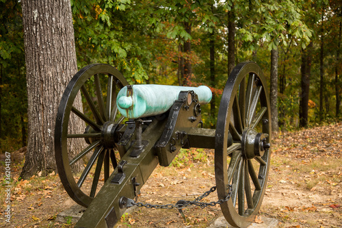 Slika na platnu a Napoleon 12-Pounder canon