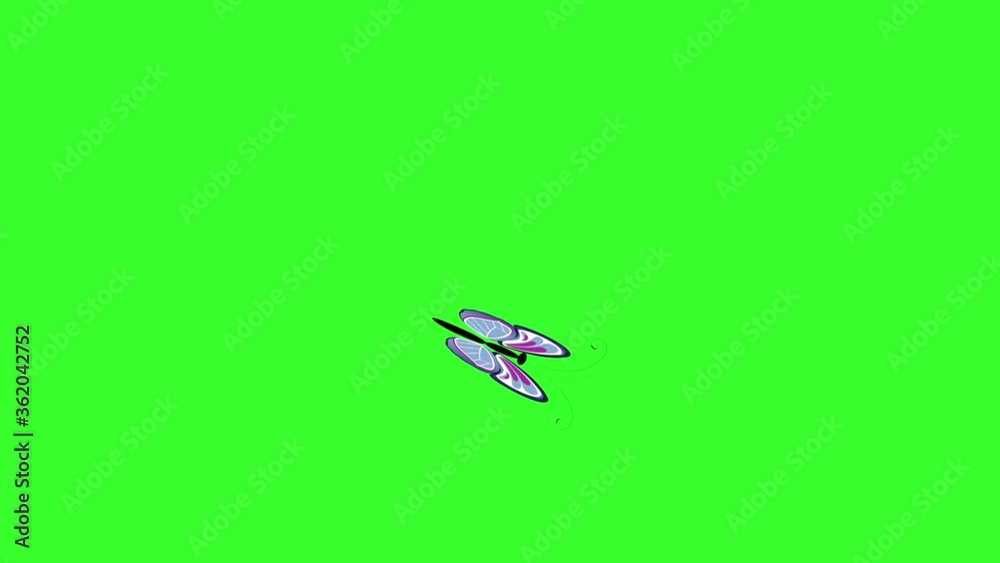 Animated colorful beauty butterfly on green screen chroma key Animated colorful beauty butterfly on green screen chroma key