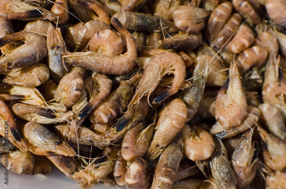 Fresh shrimp at the market for sell Fresh shrimp at the market for sell