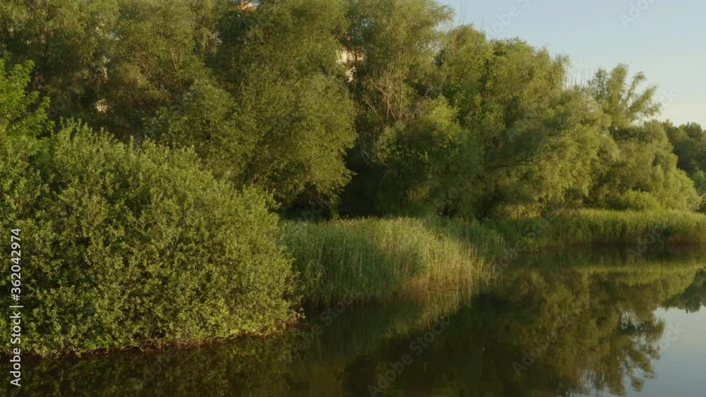 Aerial view. Natural landscape with a lake and green trees on a sunny summer morning. Water surface with reflection of plants. Natural background Aerial view. Natural landscape with a lake and green trees on a sunny summer morning. Water surface with reflection of plants. Natural background