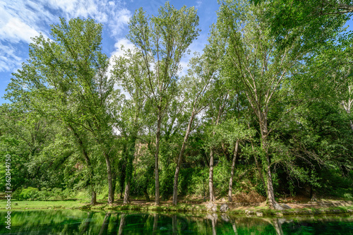 Parco del Grassano, San Salvatore Telesino, Benevento, Italy 

This park is surrounded by big trees and a natural water source rich of sulfur which is good for the skin.  This place is idea for kayak 