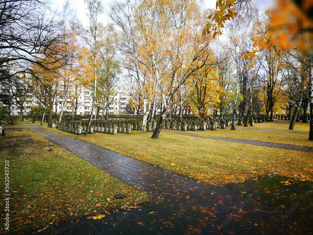 Cemetery visit. Artistic look in vintage vivid colours.