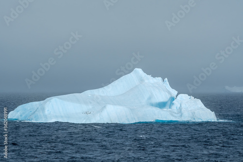 Iceberg in South Atlantic Ocean, Antarctica © Nick Taurus