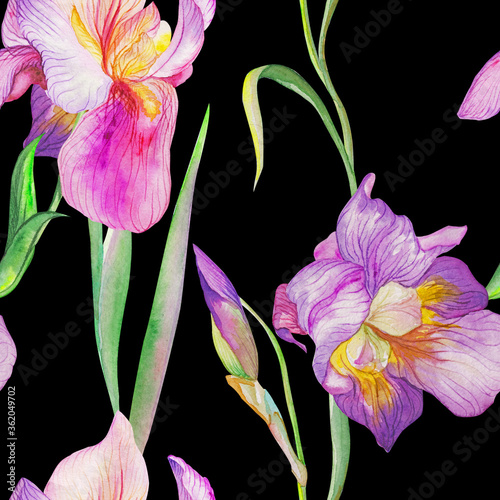 Εκτύπωση καμβά beautiful irises are blooming. Watercolor