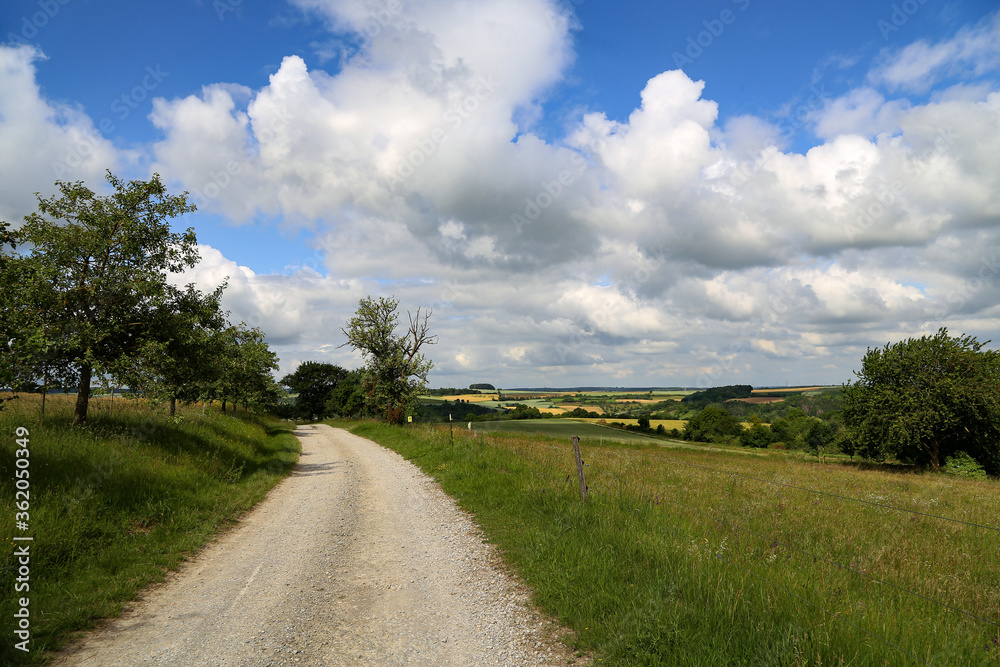 Summer landscape with fields, meadows and field road Summer landscape with fields, meadows and field road