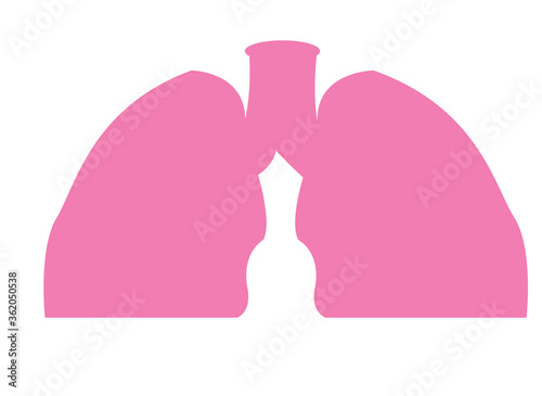 Human Lungs Attack by Covid 19 or Corona Virus.Lungs Vector.Human Respiratory System Lungs Anatomy.lungs organ.Medical illustration.
