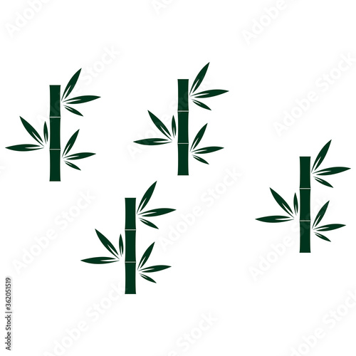 Fototapeta Naklejka Na Ścianę i Meble -  set of green bamboo vector illustration