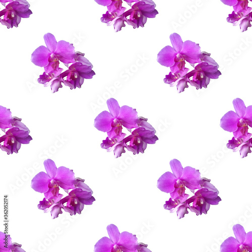purple orchid on white background. Isolated flowers. Seamless floral pattern for fabric, textile, wrapping paper. Tropical flowers