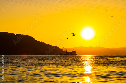 Fishing boat and seagulls at sunset