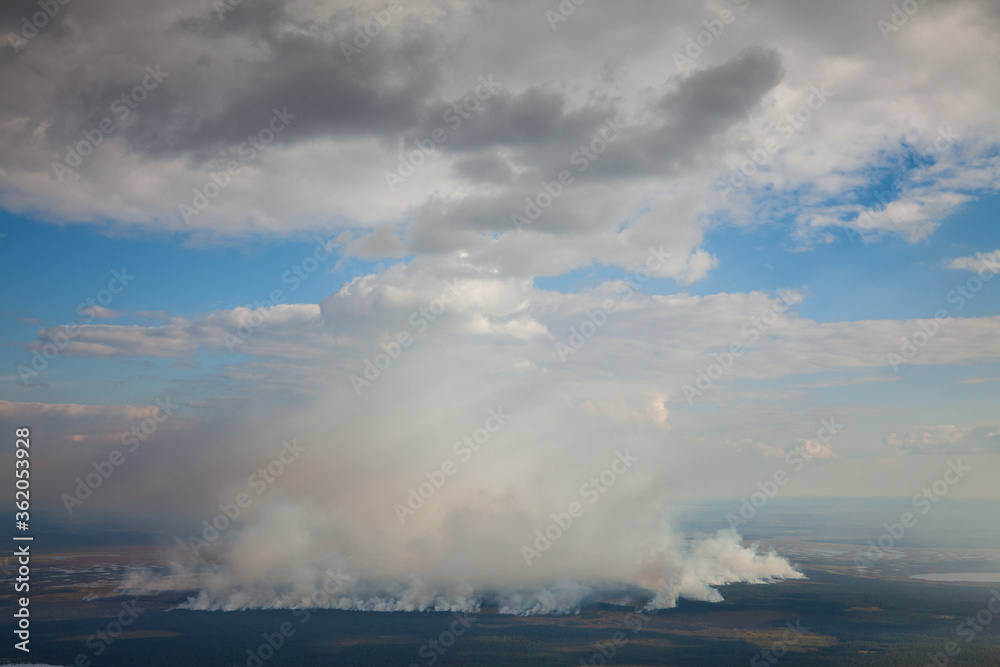Fototapeta premium Forest in fire, top view from plane