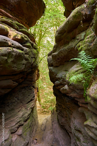 Cliffs and rocks in a green forest