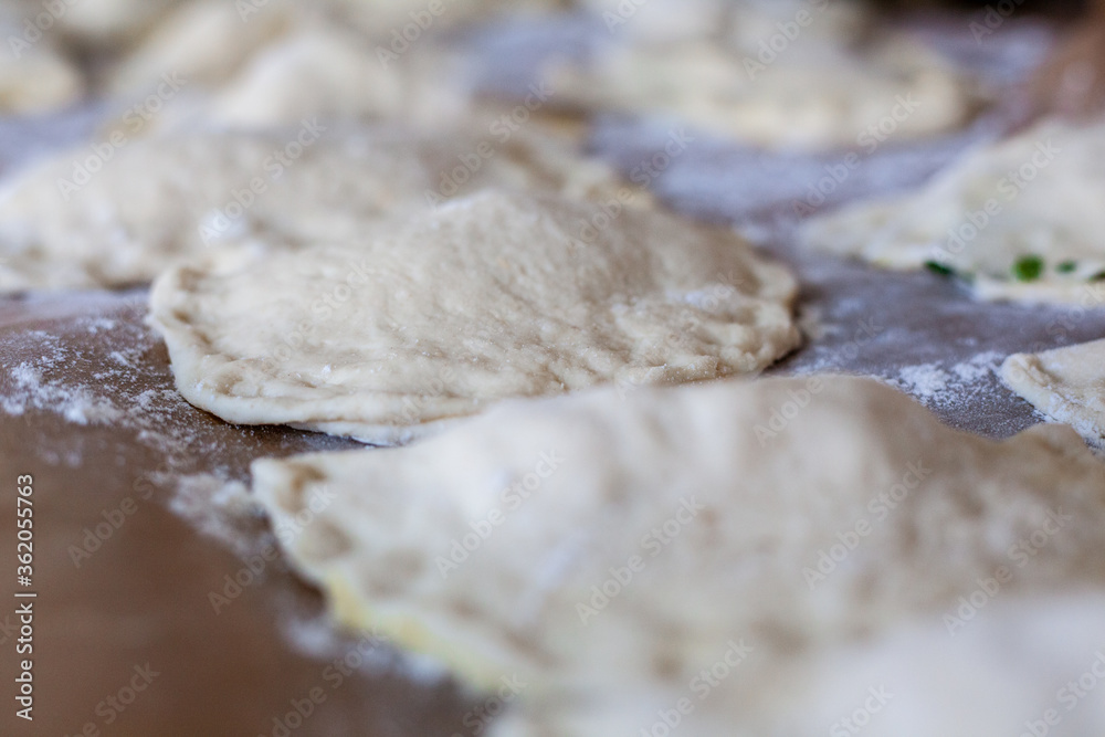 Pizza, pasta e rustici. Calzone fritto napoletano. Rustico tipico della tradizione italiana napoletana. Pizza, pasta e rustici. Calzone fritto napoletano. Rustico tipico della tradizione italiana napoletana.