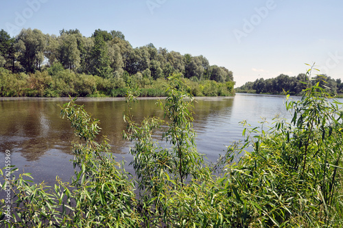 Landscape overlooking the river on a calm summer day. Pripyat River.