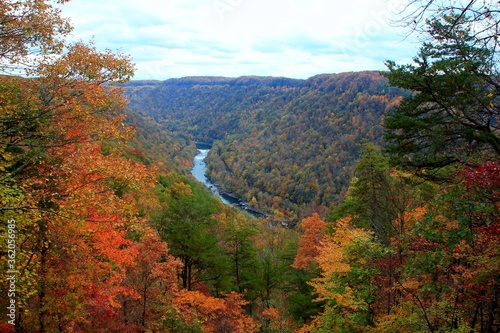 New river gorge in West Virginia during fall colors