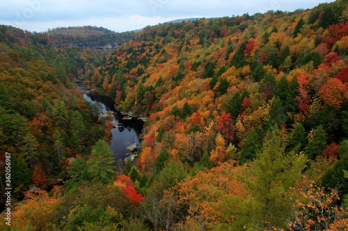 Obed National scenic river in Kentucky during falls colors