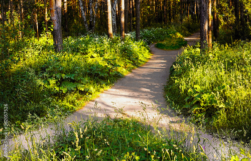 Canvas Print Two pedestrian alleys merged into one in the summer Park