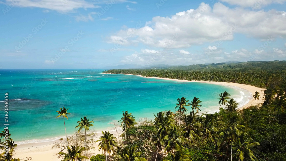 Las beach in Las Terrenas, Samaná Peninsula, Dominican Republic. Paradise beach with coconut trees in Central America