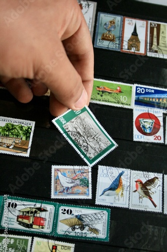 several stamps photo