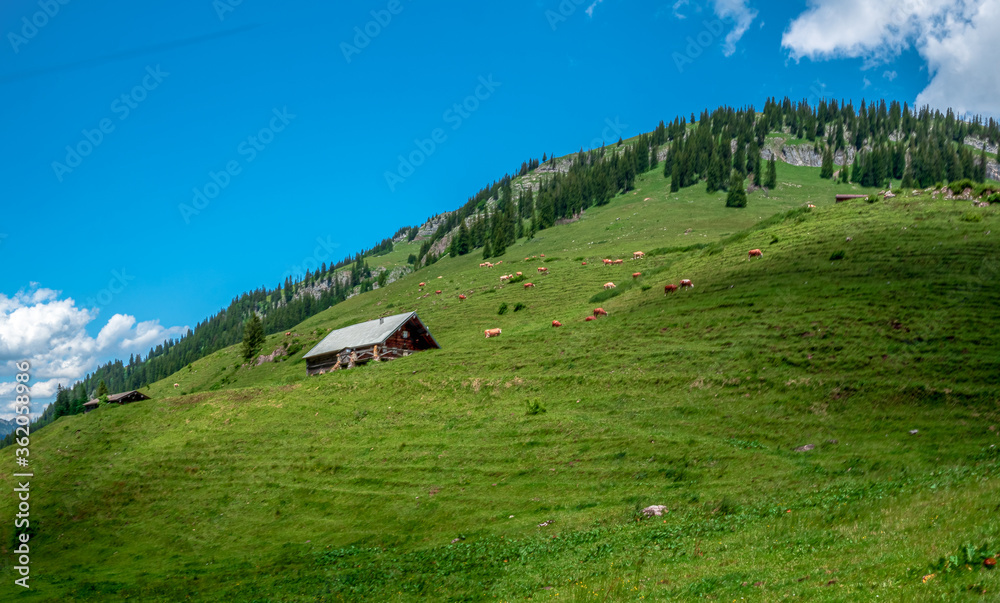 Austrian landscape lonely wooden barn