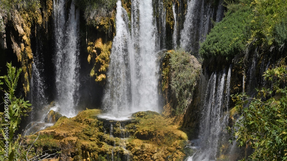 Fototapeta premium waterfall in the forest