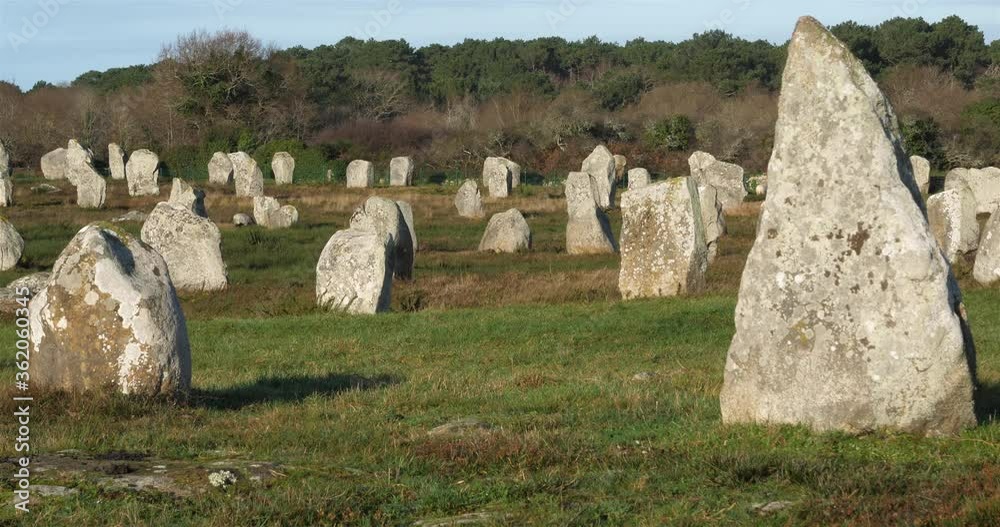 The stone alignments,Carnac, Morbihan, Brittany, France The stone alignments,Carnac, Morbihan, Brittany, France