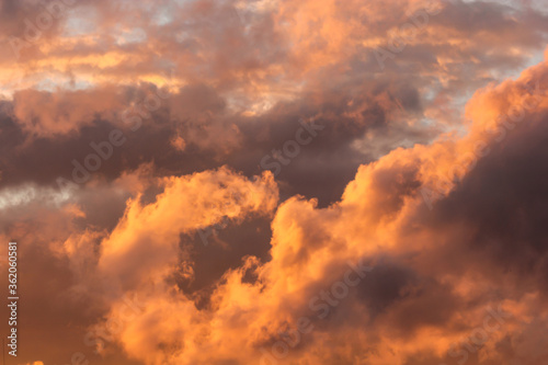 Fototapeta Naklejka Na Ścianę i Meble -  Clouds lit by the sun at sunset.