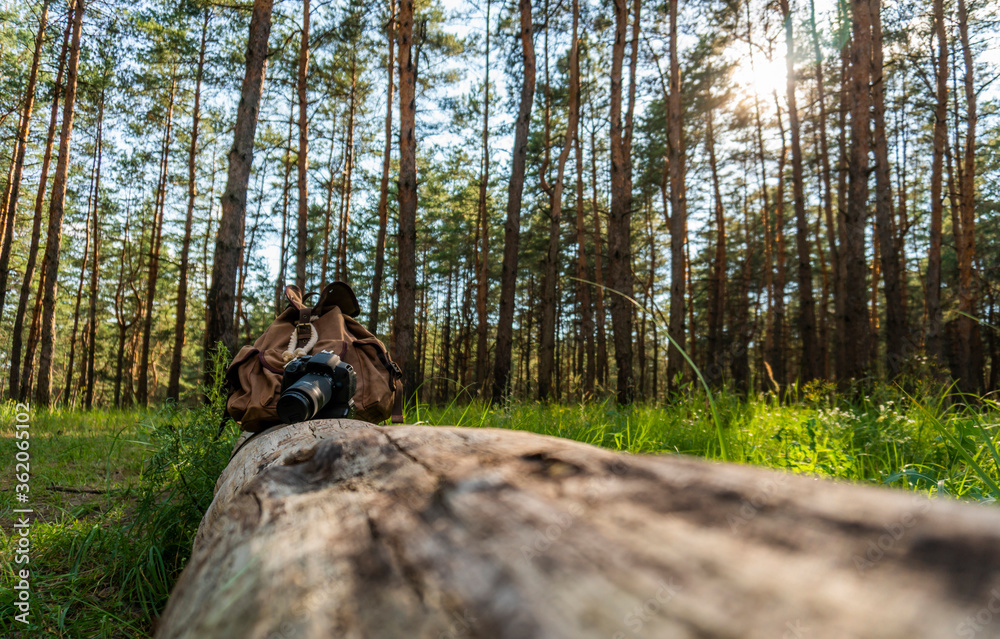 A digital camera with a backpack lies on a log in the coniferous forest A digital camera with a backpack lies on a log in the coniferous forest