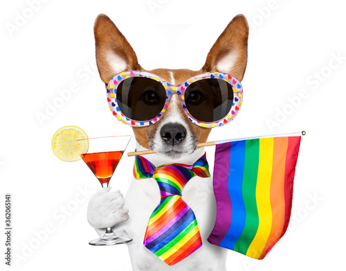 Fototapeta Naklejka Na Ścianę i Meble -  gay pride dog with rainbow