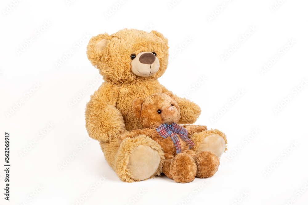 Fototapeta premium Miś z małym misiem na białym tle.
