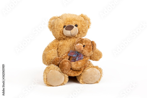 Teddy bear with little bear on white background. © jcfotografo