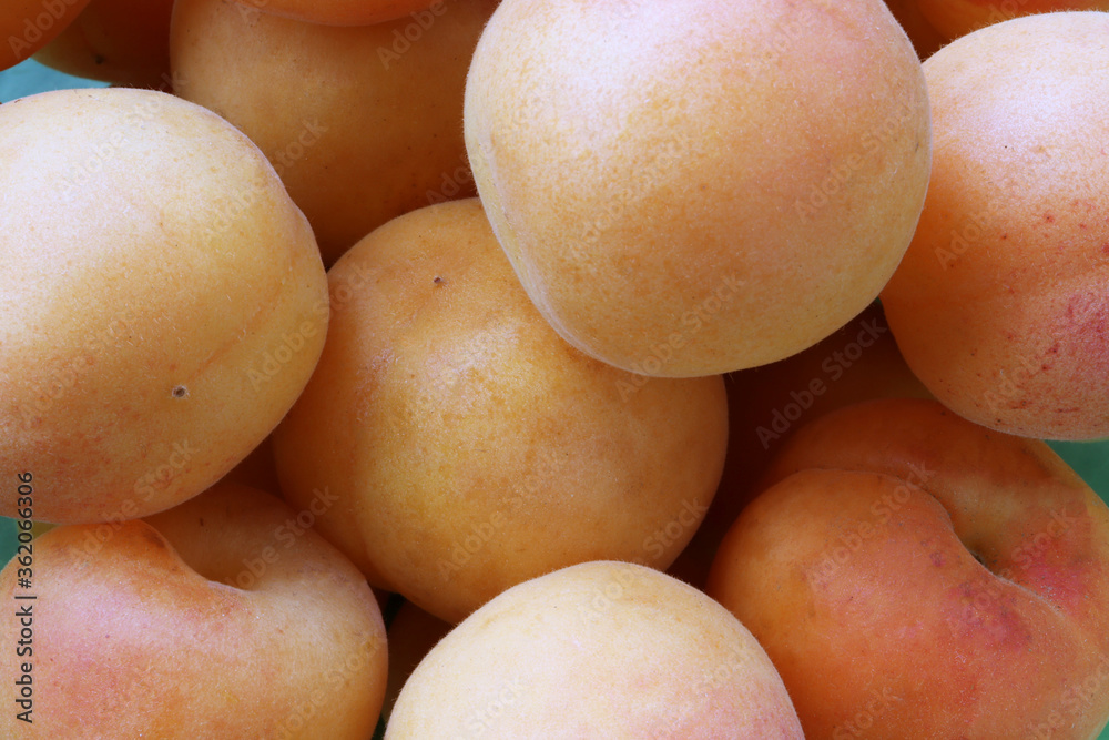 Apricots Lots of Apricots. Apricot macro shot Apricots Lots of Apricots. Apricot macro shot