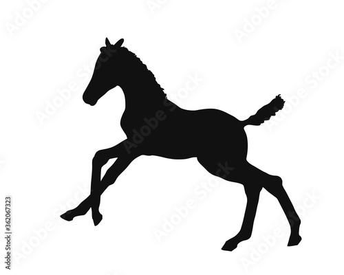 Cute colt frolics on the loose  vector silhouette