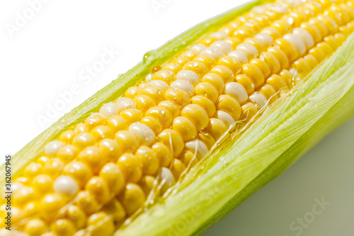 Yellow Corn Cob Closeup, Macro Shot on the white background