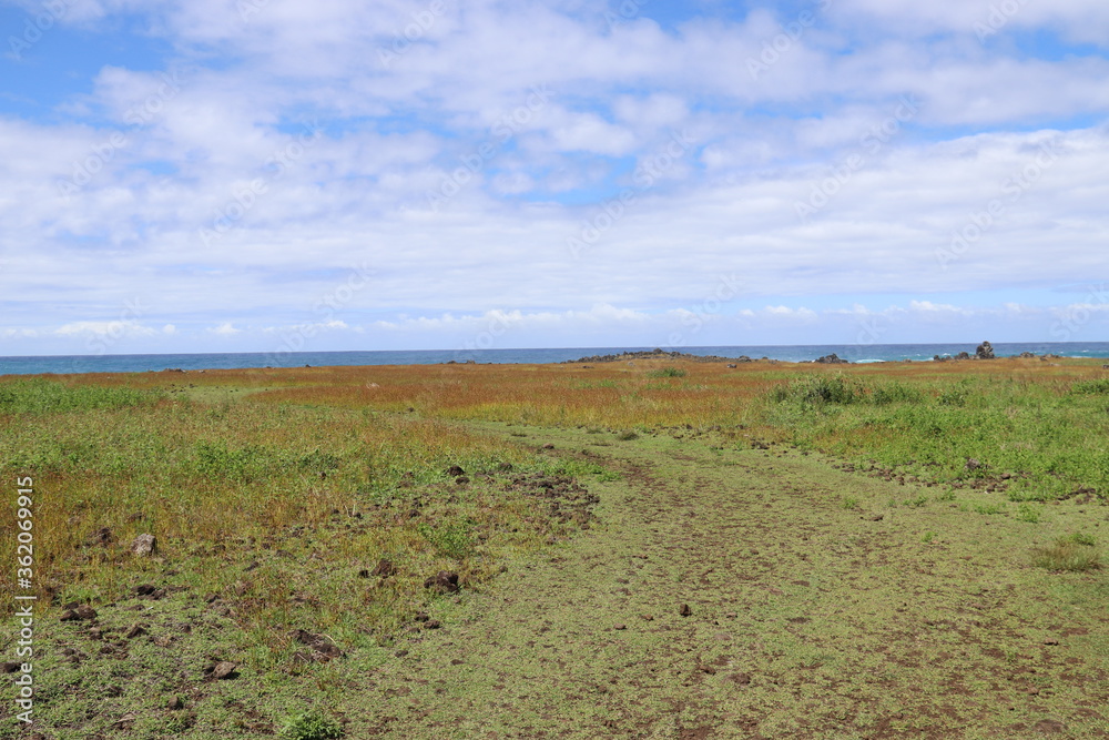 Prairie à l'île de Pâques