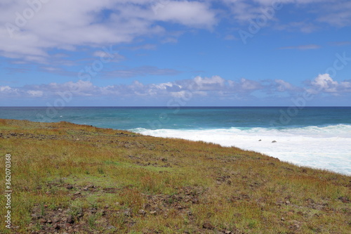 Littoral de l   le de P  ques