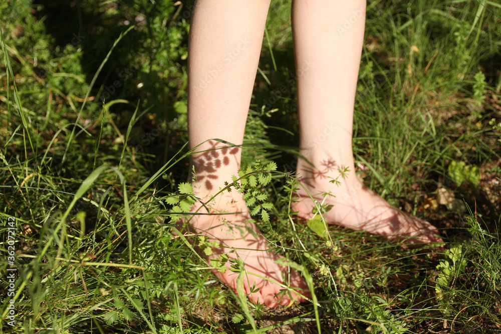 barefoot child stands in tall summer grass, legs close-up, hard light of the sun, the concept of the unity of nature and man, the energy of the earth, relaxation