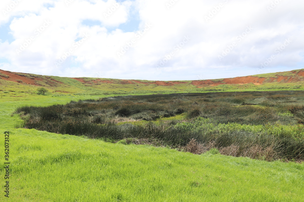 Marais dans le cratère du volcan Rano Raraku à l'île de Pâques