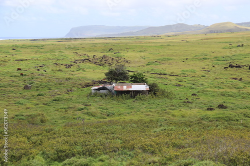 Ferme dans une prairie à l'île de Pâques