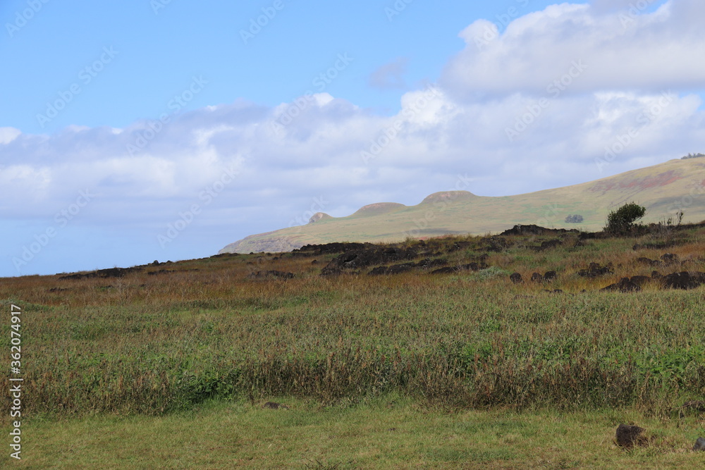 Obraz premium Prairie à l'île de Pâques 