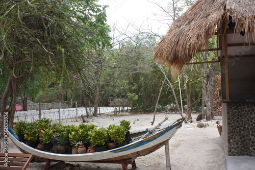 hut on the river