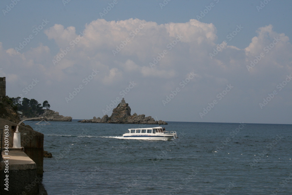 Obraz premium cruise ship in the sea