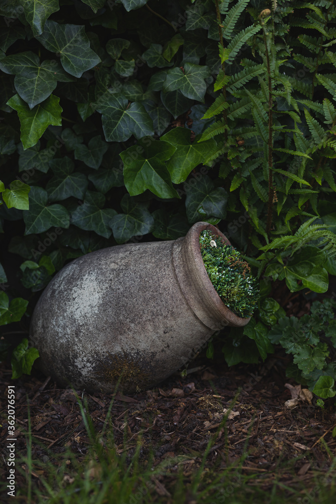 Obraz premium Decorative garden amphora in front of a lush hedge