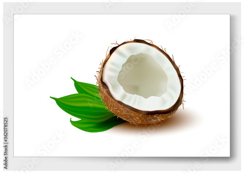 3 d. Ripe Coconut with white flesh on a White background. Isolated Coconut Half. Vector image.