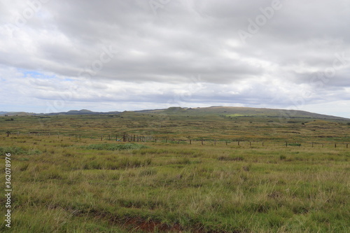 Prairie à l'île de Pâques