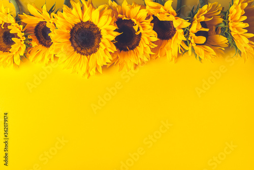 фотографія Yellow Sunflower Bouquet on bright Yellow Background, Autumn Concept, Top View,