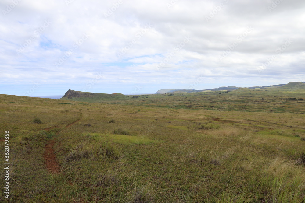 Prairie à l'île de Pâques	