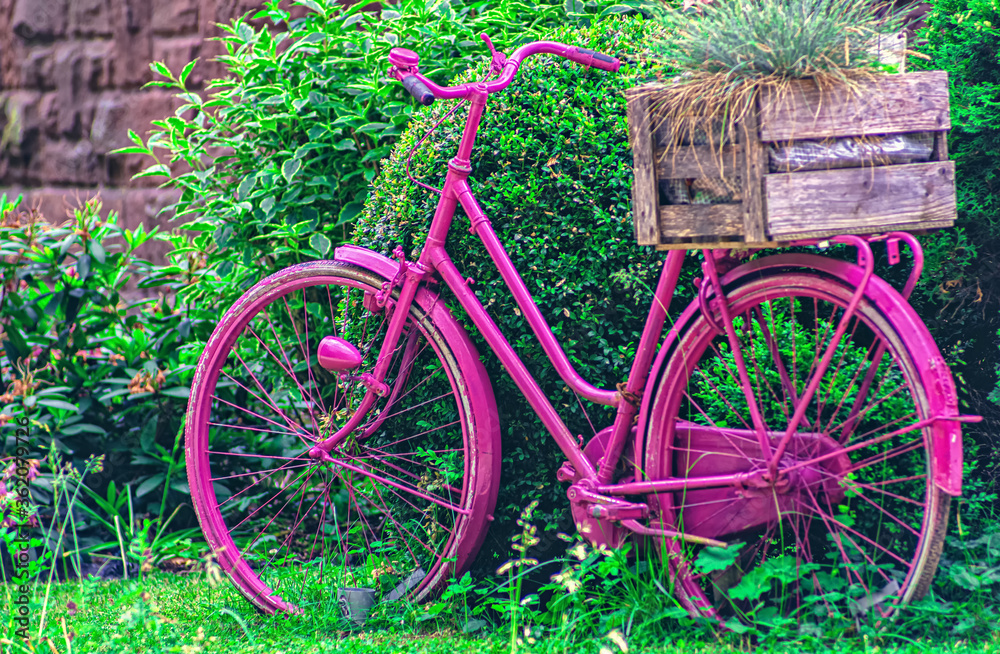 A purple bike in front of green plants