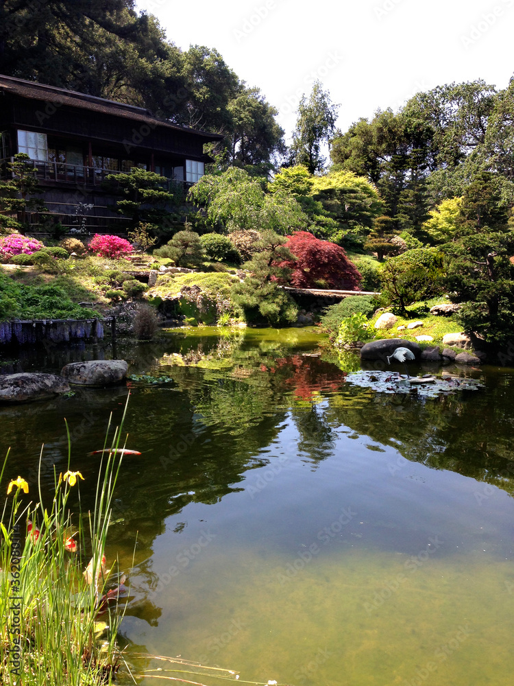 Pond In Japanese Garden