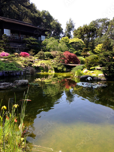 Pond In Japanese Garden